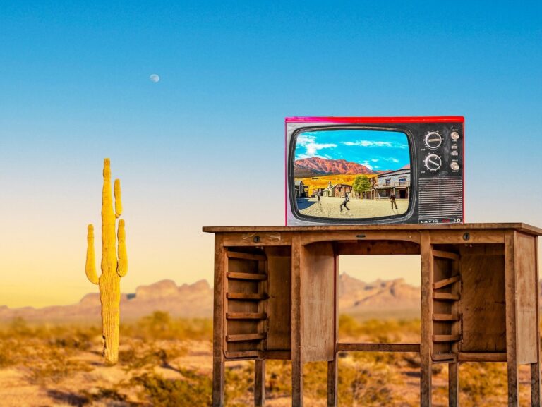 tv, television, cactus