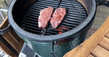 Bog Green Egg kamado