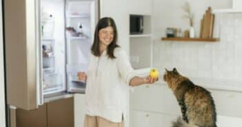 Cute cat smelling apple in woman hand on background of opened fridge