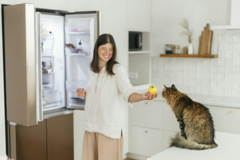 Cute cat smelling apple in woman hand on background of opened fridge